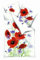 Kaeppel Bettwäsche Red and Blue Mako-Satin rot-blau-grün-weiß Größe 135x200 cm (80x80 cm)