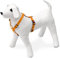 Karlie Art Sportiv Plus Geschirr neue universal Farben Mix and Match B: 20 mm Br um: 45 - 70 cm M orange