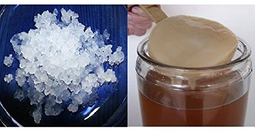 Pack 100g de Granules de Kéfir d’Eau o Fruit + Disque SCOBY Kombucha + Instructions + Recettes + Aide et conseils en français - KEFIRALIA®