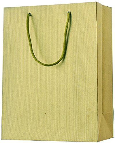 Stewo Geschenktragetasche 1 Stück mit Rillenprägung, 25 x 13 x 33 cm, gold