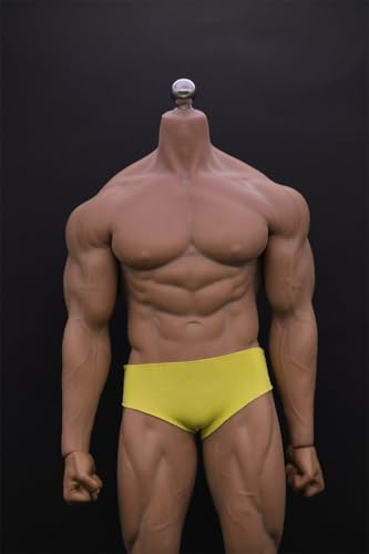 OBEST TBLeague PL2016-M34 Weizen Hautfarbe Asiatische Starke M?nnliche Actionfigur (Kopflos)