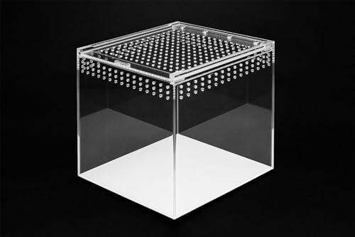 Happet Acryl Terrarium 10.5x8.5x6cm - Transparent 360°, Optimale Belüftung, Magnetverschluß - Ideal für Spinnen, Schnecken, Eidechsen, Kleine Reptilien und Insekten (20x20x20cm)