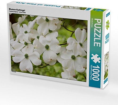 CALVENDO Puzzle Blumen-Hartriegel 1000 Teile Puzzle quer | 1000 Teile Lege-Größe 64 x 48 cm Foto-Puzzle für glückliche Stunden