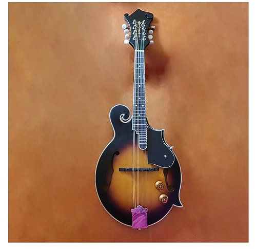 Handmade F-shaped Electric Box Electric Mandolin 8 String Spruce Maple Matte Plywood Mandolin Mandolin for Adult