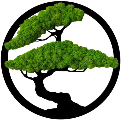 ProArts Moosbild Rund Bonsai Baum - Moosbilder mit Rahmen 30x30cm - Mooswand Lebend Natürliches - Pflanzenbild Handgefertigt mit Moos Rentierflechte