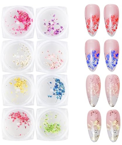 8 Boxen Getrocknete Blumen für Nägel, Getrocknete Blumen Nail Art, Nagel Getrocknete Blumen, Nail Design Getrocknete Blumen, Echte Blumen für Nägel, Getrocknete Blumen Zubehör für DIY Nageldekoration
