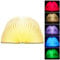 Mobxpar Hölzerne Faltende Buchlampe, LED Stimmungsbeleuchtung, Buch Lampe, Nachttischlampe, Tischleuchte, Dekorative Lichter/Nachtlicht, USB Aufladbare, 360°Faltbar (Weißer Ahorn, 17x14x2.5cm)