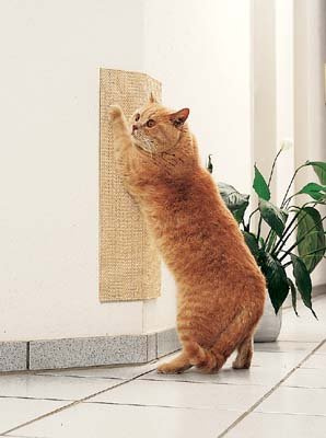 CLEVERCAT Sisal Eckschoner, einfach, praktisch, gut