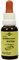 BACHBLÜTEN Murnauer Wild Rose Tropfen 20 ml