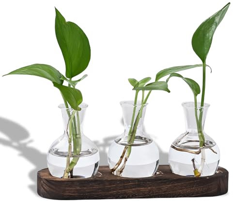 HOMURY Florero hidropónico con soporte de madera: jarrón de cristal florero vintage pequeños jarrones para decoración de mesa, estación de reproducción para plantas, jarrón de cebolla para hidroponía