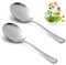 Cucchiaio da portata 25 cm, 2 pezzi, set di posate da insalata in acciaio inox, cucchiaio da cucina con manici lunghi, cucchiaio da insalata, cucchiaio grande per la famiglia, alberghi, buffet