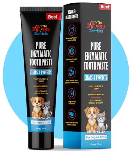 Vet Strength Pure Enzymatic Dog & Cat Toothpaste | 100g Beef Flavour | Enzyme Pet Toothpaste for Tartar Removal, Bad Breath, Teeth Cleaning | Safe for Puppies & Kittens | Use with Dog Toothbrush