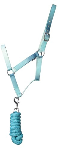 Hy Equestrian Ombre Head Collar & Lead Rope - Teal - Cob