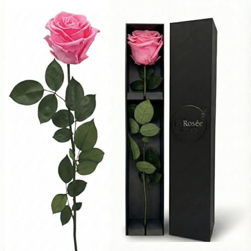 LA ROSEE ETERNELLE Echte Ewige Rose mit langem Stiel – Parfümierte konservierte Rose aus Ecuador – Originelles Geschenk für Frauen, Partnerin & Muttertag – Design aus Spanien – Romantic Pink