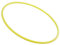 Sport-Tec Gymnastikreifen aus Kunststoff, Hula Hoop, Trainingsreifen, Turnreifen, 60 cm