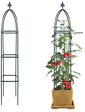 Mr.Ton Treillis de Jardin obélisque, Support pour Plantes grimpantes et Supports de Fleurs, Vert foncé, Tour légère pour Plantes, 1,6 m