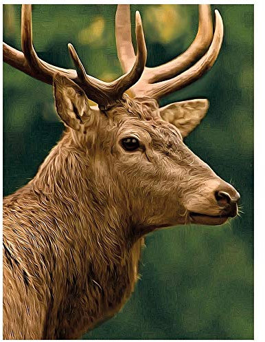 Ideen mit Herz 5D Diamond Painting | Diamant Painting Set | 35 x 25 cm | Motivleinwand | runde Steinchen | inkl. Zubehör | Verschiedene Bilder zur Auswahl (Hirsch)