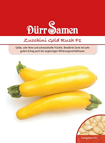 Gelbe Zucchini Samen Gold Rush F1 Zucchinisamen Gemüsesamen 5 Korn Garten Hochbeet Balkon Saatgut Dürr Samen