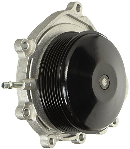 Dolz M251