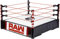 WWE Superstar Raw Ring