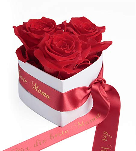 ROSEMARIE SCHULZ Heidelberg Rosen Box Herz 3 Infinity Blumen Satinband Goldschrift Für die Beste Mama der Welt (Rot, 3 Rosen Für die Beste Mama der Welt)