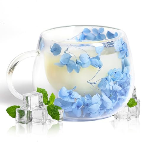 RUIOMII 300ml Dried Flower Tea Cup, Double Walled Glass Coffee Mugs with Handle, Ideas Gift for Women Sister Mum Wife Teacher