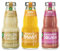Cocktail Plant 3er Alkoholfrei Probierset - Virgin Colada + Strawberry Colada + Sportsman - Je 0,2l inkl. Pfand MEHRWEG