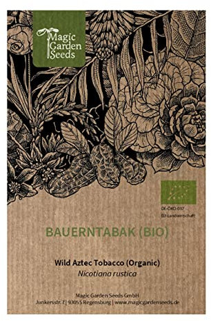 Tabacco Mapacho (Nicotiana rustica) biologico - circa 300 semi