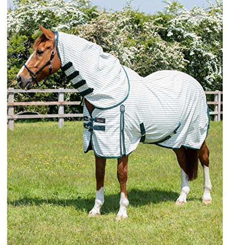 Stalldecke für Pferde aus Baumwolle mit Halsabdeckung Premier Equine