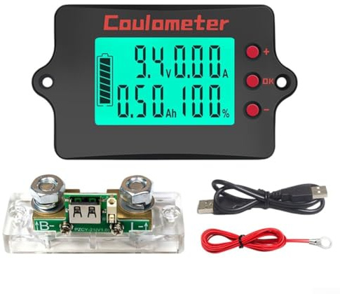 Compteur de coulomb - Testeur de capacité de batterie au lithium fer phosphate pour système de surveillance de batterie LiFePO4 (100 A)