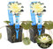 Bloomique - Lot de 2 - Nymphaea Marliacea Chromat - Nénuphar - Jaune - Plantes de bassin - Plantes aquatiques - Rustique - Hauteur 10-20 cm - Pot 11 cm