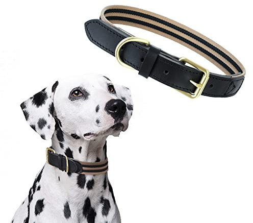 Mile High Life | Hundehalsband aus echtem Leder | Strapazierfähiges Canvas-Hundehalsband mit verstellbarer, rostfreier Metall-Dornschnalle | Jungen-Hundehalsband für mittelgroße Hunde (Dornschnalle,