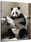 DARO Design - Bilder Deko Gäste WC Wandbild Badezimmer Bad Toilette Kunstdruck Bild auf 6mm HDF 30x20 cm Panda Bär Wanddeko - lustige Wandbilder Leinwand Poster Aesthetic Room Decor Bear