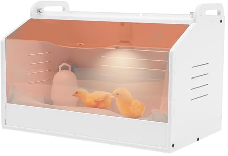 Brutkasten und Wärmeplatte für Küken 25W-Kükenzuchtbox mit Thermometer und Tränkegerät, Brutapparat und Inkubator für kleine Reptilien und Geflügel, 48 x 30 x 30 cm