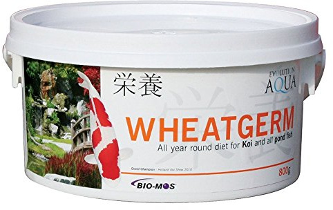 Evolution Aqua Wheatgerm - 800 Gms - Small Pellet - 3-4Mm