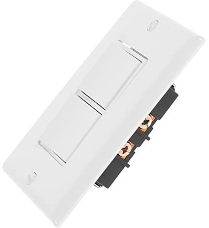 Operitacx Interruptor de Luz Doble 10 Amperios con de Pared y Tornillo Interruptor Eléctrico Moderno para Uso Residencial y Comercial 2 Luces