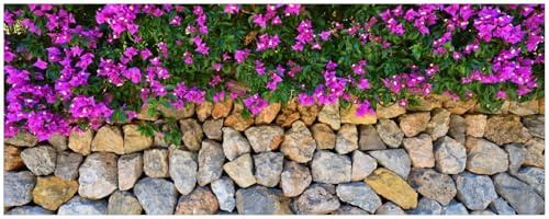 Wallario Küchenrückwand selbstklebend 115 x 50 cm, Motiv: Mauer mit pinken Blüten | Spritzschutz abwischbar & pflegeleicht