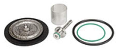 RIEGLER 101206-22.5712.4.16 Verschleißteilesatz mit PTFE-Membrane, G 1/2, 1Stk