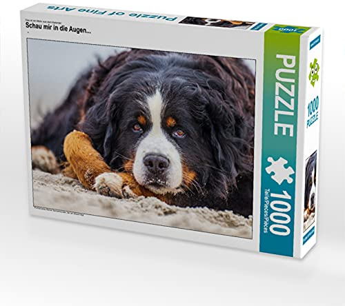 CALVENDO Puzzle Schau Mir in die Augen... | 1000 Teile Lege-Größe 64 x 48 cm Foto-Puzzle für glückliche Stunden