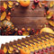 matches21 Bunte Tischsets Platzsets Motiv abwaschbar Herbstfrüchte Kürbisse Holzbrett braun orange 12er 43,5x28,5 cm