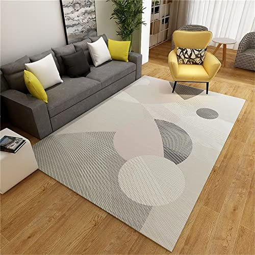 DSHUB Gemusterter Teppich Ornamente für Wohnzimmer, rosa, grau, geometrisches Muster, Heimdekoration, rutschfest und waschbar, Teppich für Wohnzimmer, Teppiche für Kamine, 100 x 150 cm