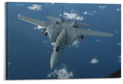 YHNGOL Poster Active Fighter F-14, Tomcat-Poster, dekoratives Gemälde, Leinwand, Wandposter und Kunstdruck, moderne Familienschlafzimmer-Dekoration, Poster, 30 x 45 cm