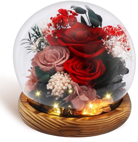 Sutowe Preserved Rose Flowers in Glass Dome with LED Light Decorative Light Up Eternal Flowers Lamp Ball Shape Rose Flower Glass Dome for Women Birthday Mother's Day Anniversary(red)