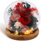 Sutowe Preserved Rose Flowers in Glass Dome with LED Light Decorative Light Up Eternal Flowers Lamp Ball Shape Rose Flower Glass Dome for Women Birthday Mother's Day Anniversary(red)