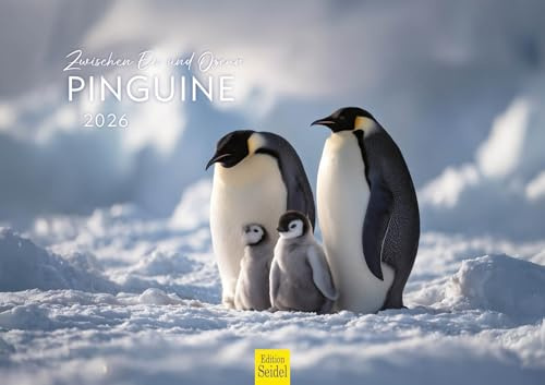 Edition Seidel Premium Kalender Zwischen Eis und Ozean Pinguine 2026 Format DIN A3 Wandkalender Antarktis Kaiser- und Adeliepinguin Eislandschaft Meer Natur Wildlife