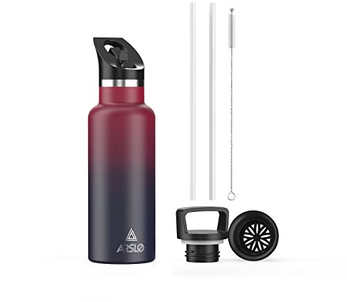 Arslo Stainless Steel Water Bottle with Straw - Insulated Water Bottle for Sports, Gym, School, Commute, Adults/Kids - Keep Cold for up to 24 Hours - Sweat/Leak-proof - 2 Lids - BPA Free