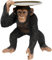 Kare Design Deko Figur Butler Playing Chimp, Schwarz, Accessoire, Tiermotiv, Kaffeetisch, Sofatisch, Nachttisch 52x45x36 cm (H/B/T)