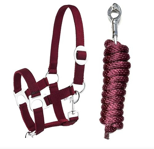 Halfter Führstrick Set mit Panikhaken verstellbar Pferdehalfter Pferd Holzpferd Anbindestrick (Panikhaken Wein, Pony)
