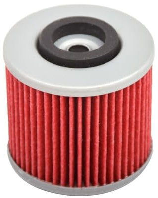 DOFABI Motorrad-Ersatzteil-Ölfilter aus Faserpapier, for Yamaha, YFM700 YFM700R for Raptor SE GYTR Edition 686 YFM 700 R 2006-2017 Motorrad-Ölfilterwechsel(Black 1pcs)