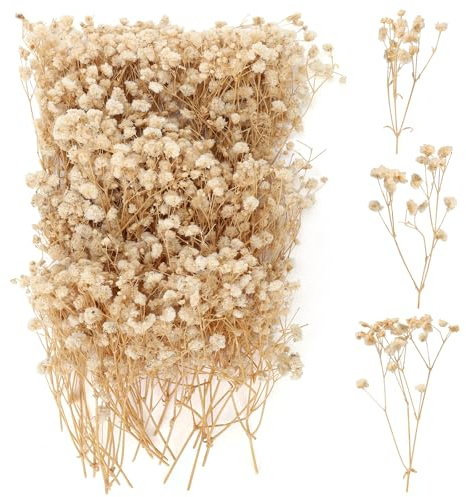100 Stück Schleierkraut Getrocknet, Trockenblumen Schleierkraut, Trockenblumen zum Basteln, Getrocknete Blumen Klein für DIY Fotorahmen, Lesezeichen, Grußkarten (Champagne)